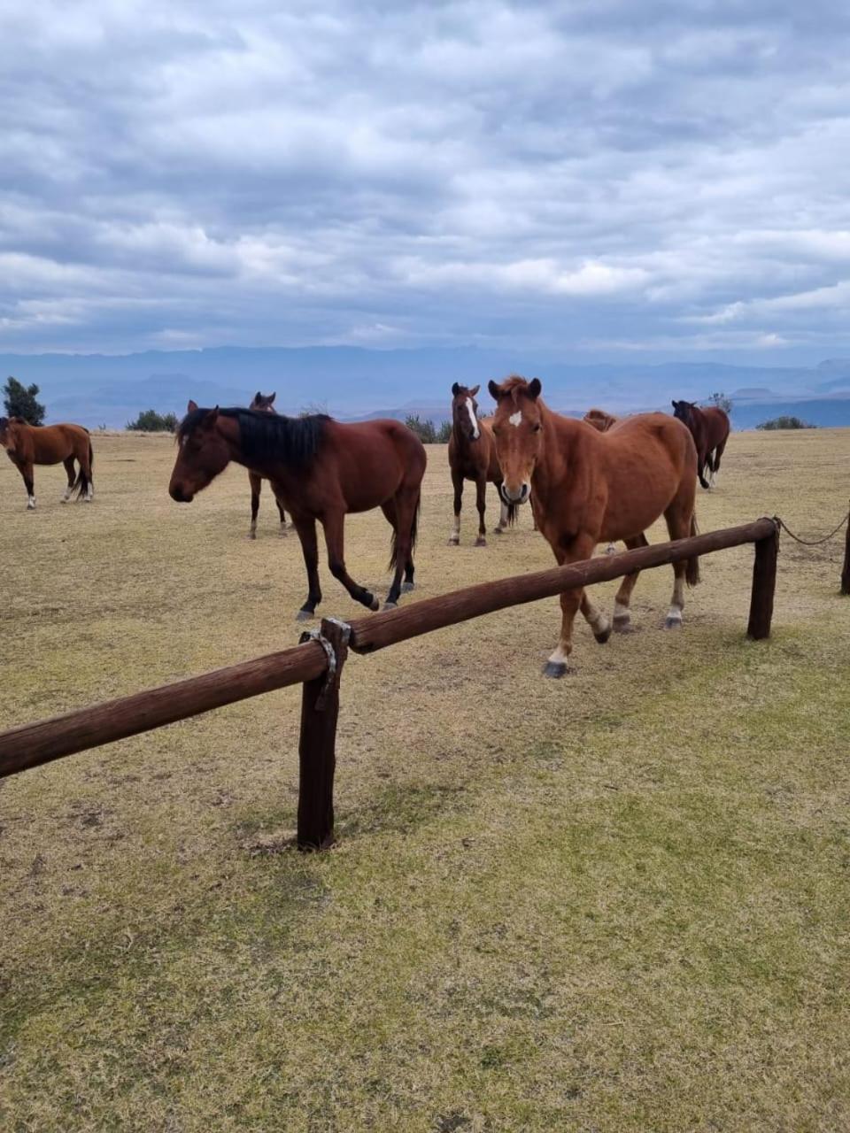 Drakensberg Mountain Retreat Vendégház Bergville Kültér fotó