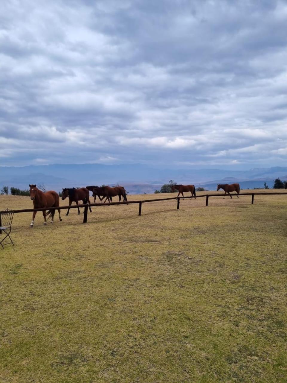 Drakensberg Mountain Retreat Vendégház Bergville Kültér fotó